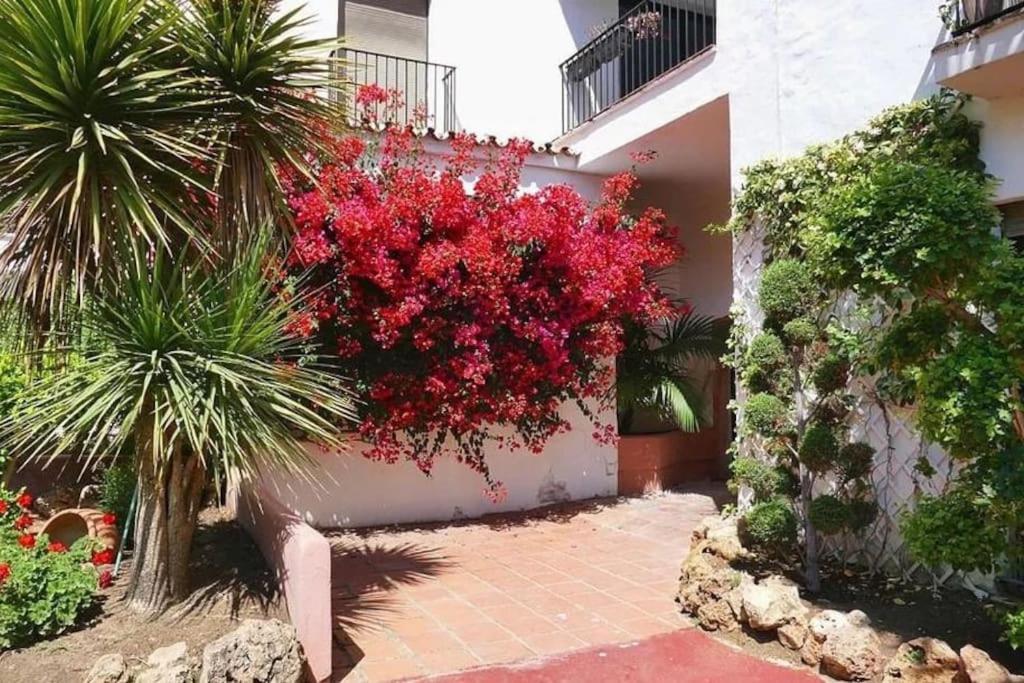 Caprichoso Apartamento En El Corazon De Puerto Banus Marbella Luaran gambar